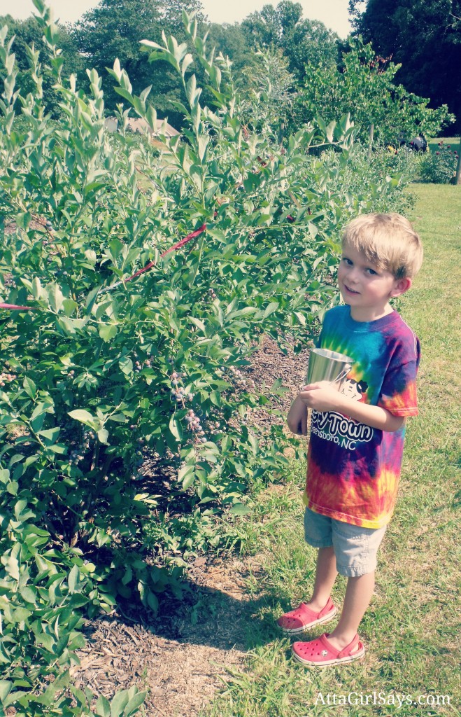 another of Jackson picking