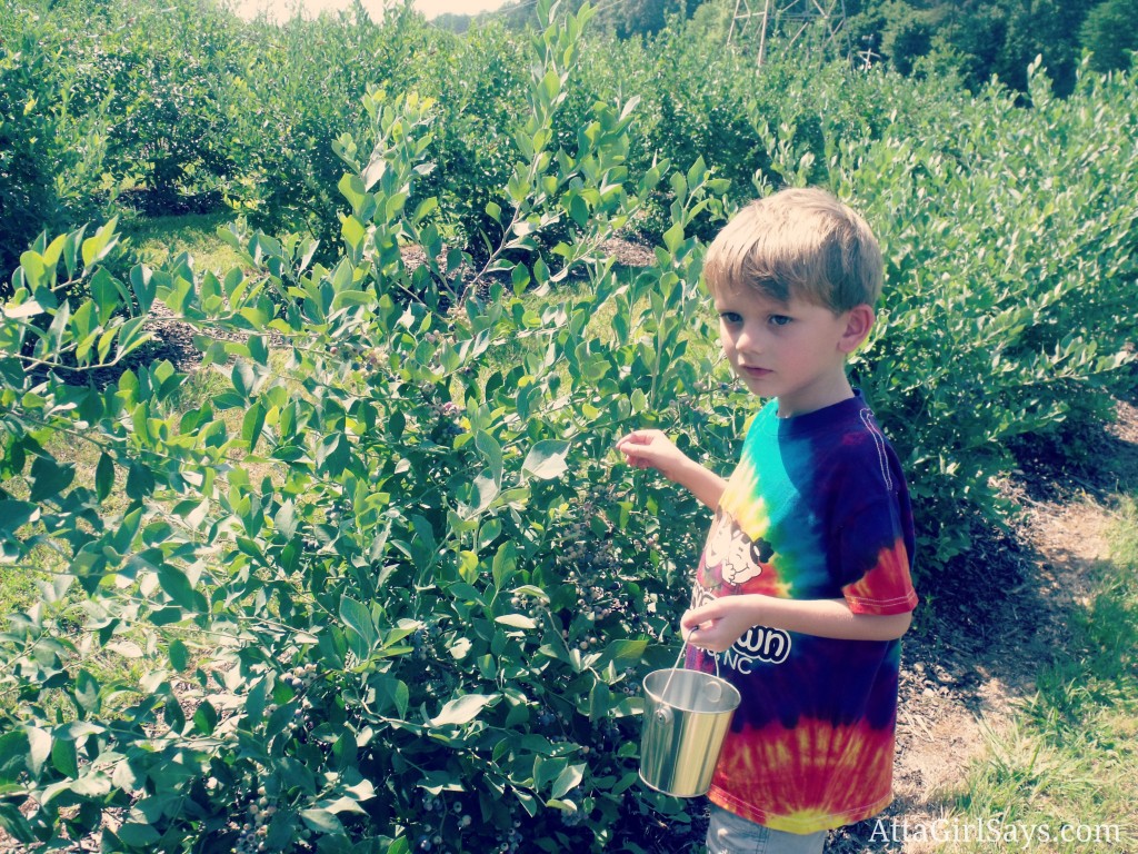 jackson picking