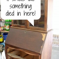 How to remove odors from furniture by AttaGirlSays.com