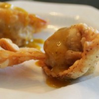 fried wontons featured