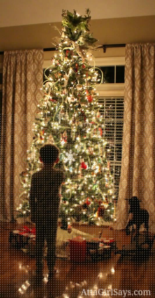 Glowing Christmas Tree photo of Jackson by AttaGirlSays.com