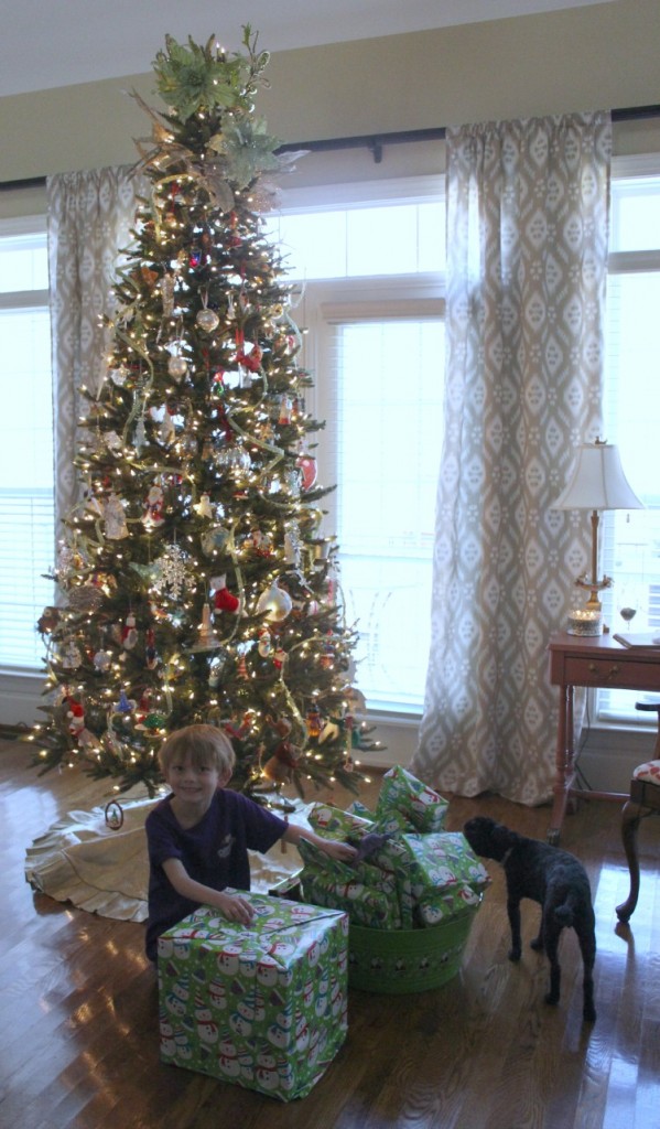 Jackson and his advent presents decorated Christmas tree