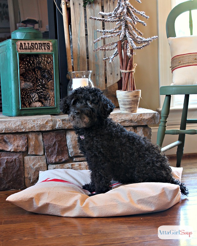 No-Sew Grain Sack Dog Bed Cover Made from A Canvas Drop Cloth