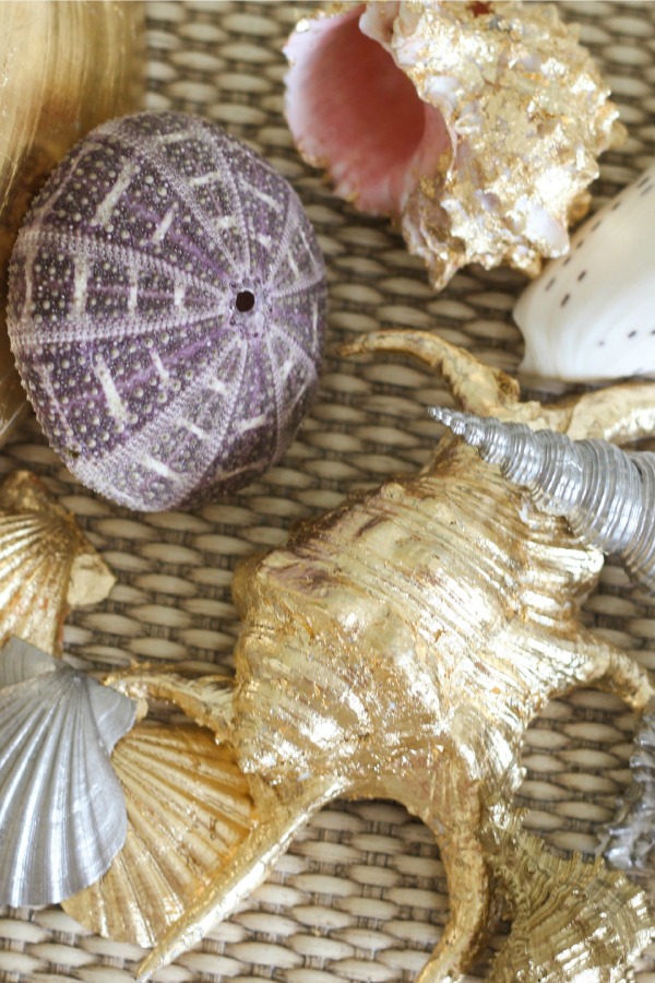 Learn two different methods for making gilded seashells using paint and metallic gold leafing. Such a luxe look for seashells.