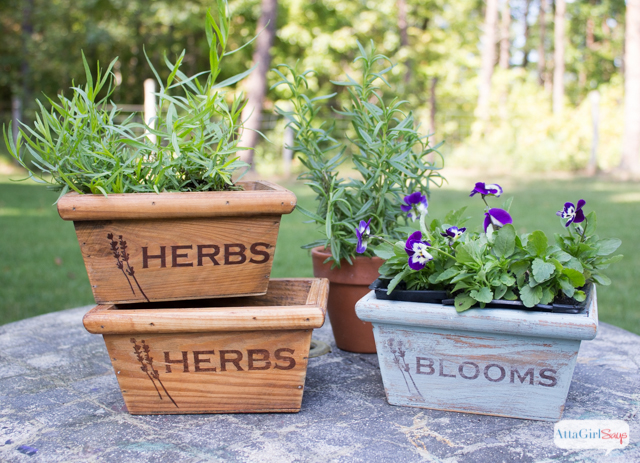 Stenciled & Stained Wooden Herb Boxes #woodprojectshoa with AttaGirlSays.com