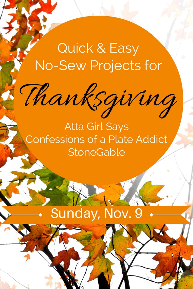 Thanksgiving No-Sew Projects