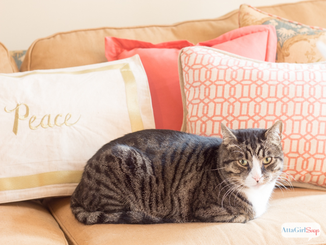 2014 Christmas Home Decor and Tour at AttaGirlSays.com