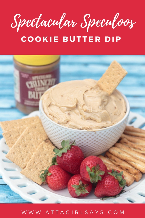 bowl of cookie butter dip with strawberries, pretzels and graham crackers