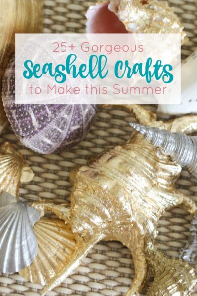 This is amazing collection of seashell crafts. Learn how to make everything from seashell artwork to lamps to jewelry to home decor items . It's time to hit the beach and start collecting shells!