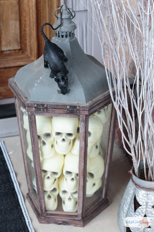 plastic skulls in a large wooden lantern