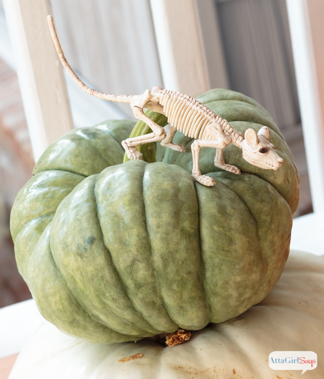 plastic rat skeleton on a green pumpkin Dollar Store Halloween decorations