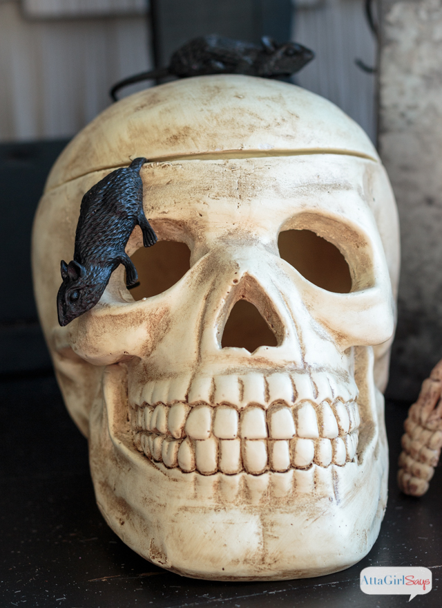 Halloween skeleton with rats crawling on it