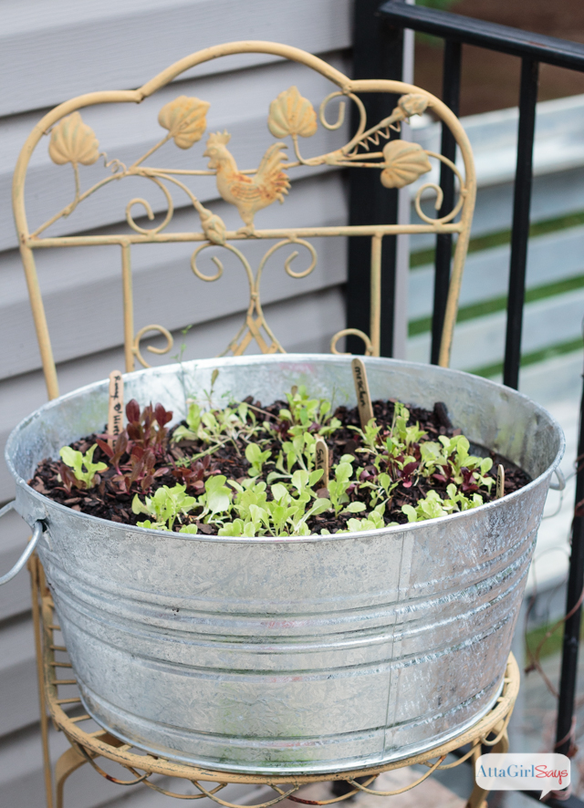 Don't throw away your Keurig K-Cups. Use them as seed starters for lettuce, herbs and other garden plants. You can also add the coffee grounds to your compost pile. #sponsored