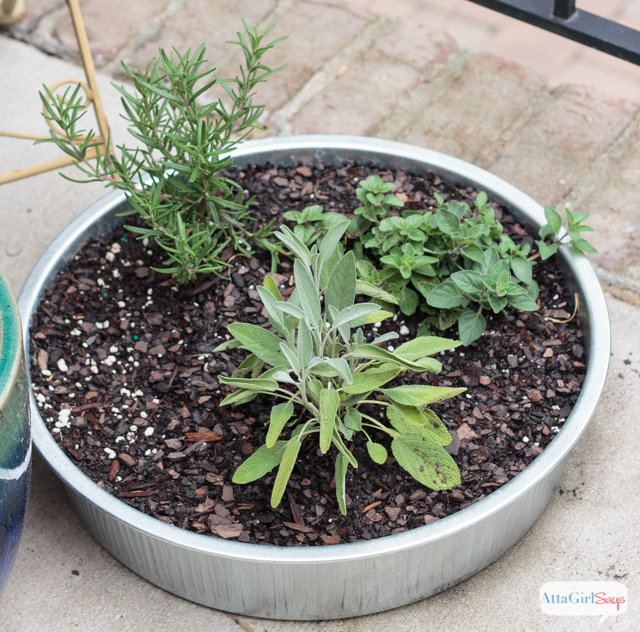 Don't throw away your Keurig K-Cups. Use them as seed starters for lettuce, herbs and other garden plants. You can also add the coffee grounds to your compost pile. #sponsored