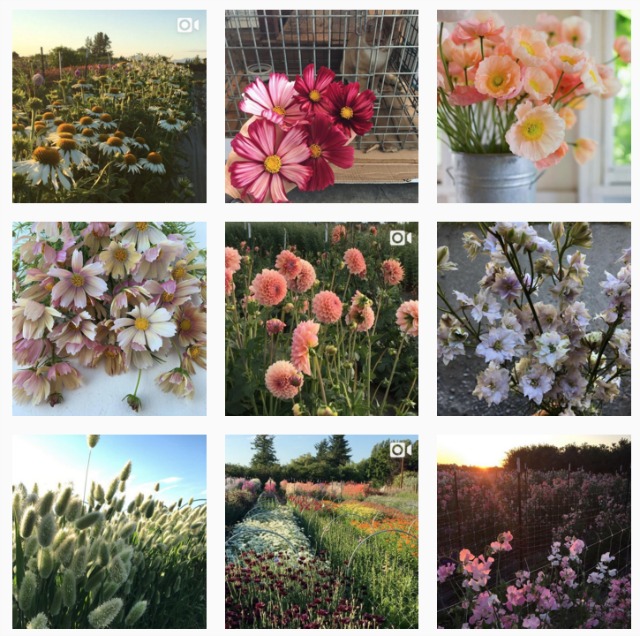 Simple Landscaping Ideas: Make Your Backyard Dreams Come True with these DIY landscaping, gardening and backyard style books