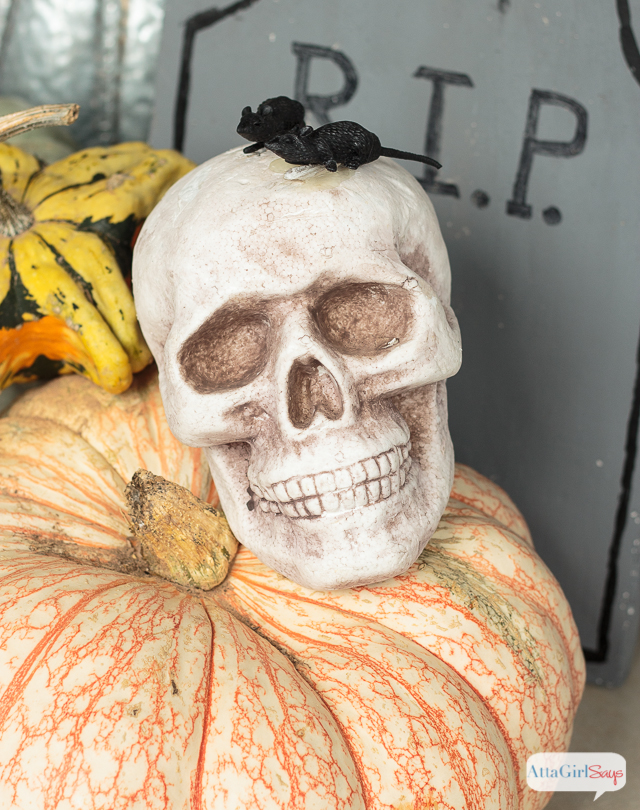foam skull with a plastic rat on it for Halloween