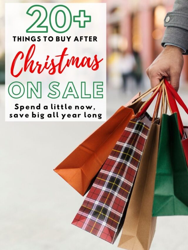 cropped-pin-after-christmas-sales-shopping-bags.jpg