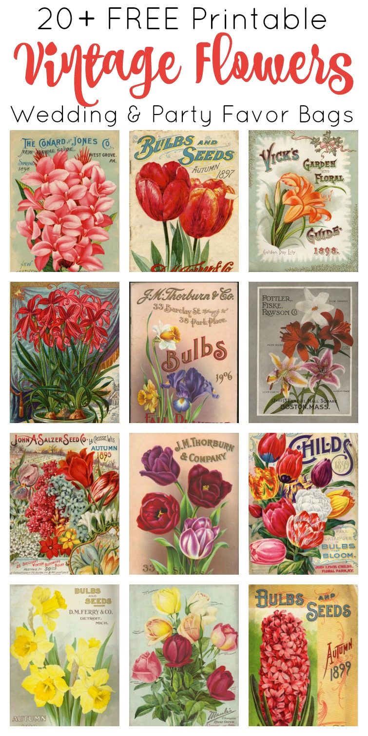 Print and make your own gardening themed party favor bags featuring artwork from vintage seed catalogs. This free collection includes lilies, tulips, daffodils, roses, hyacinths and other gorgeous spring flowers. Download all 22 designs, print them out using your &nbsp;home computer and learn step-by-step how to fold them into bags with this easy tutorial at AttaGirlSays.com. There's even a video demonstration. #springflowers #partyfavors #papercrafts #seedcatalogs #vintageflorals