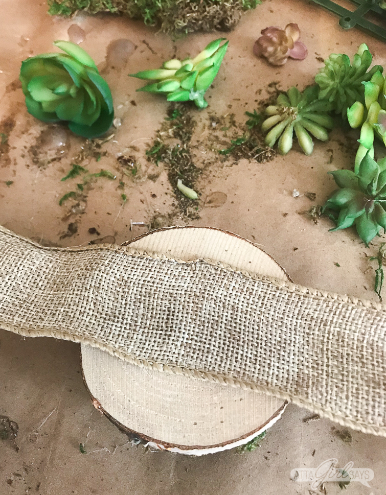 A closeup show showing how to attach a ribbon tie to the back of the wooden coaster to make a DIY succulent napkin ring miniature garden with sheet moss.