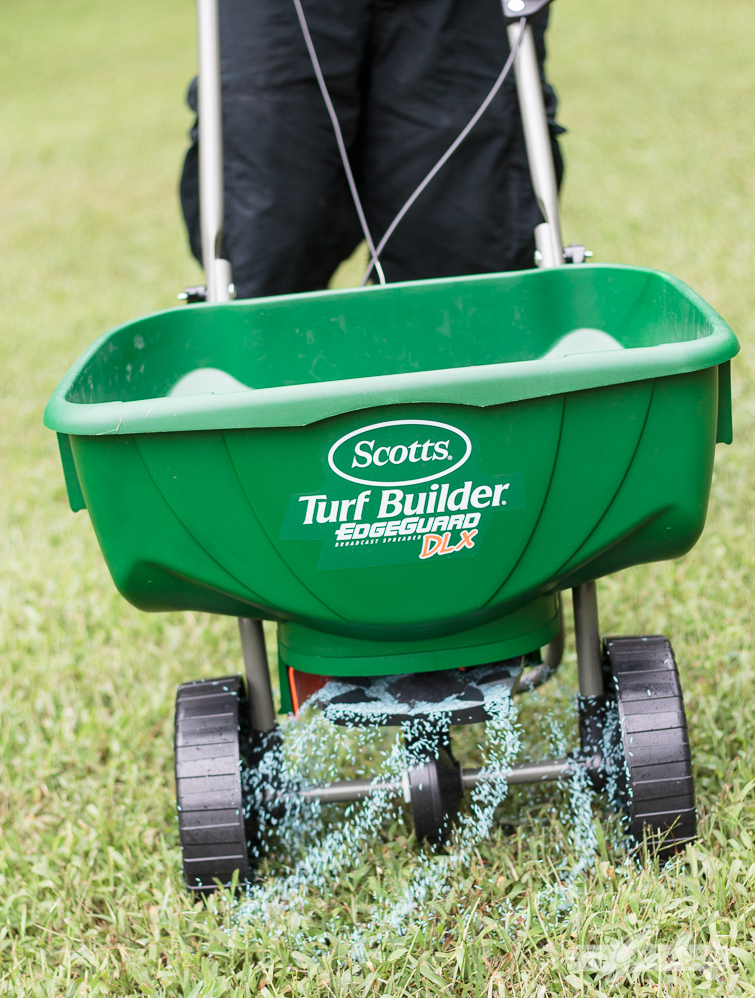 man pushing a Scotts broadcast grass seed spreader with seeds spraying out the bottom