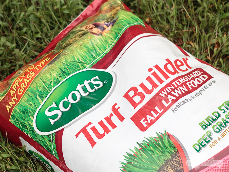 Bag off Scotts Turf Building Fall Lawn Food lying on grass