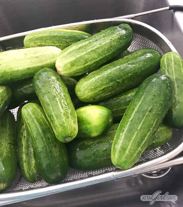 pickling cucumbers in a strainer in a sink