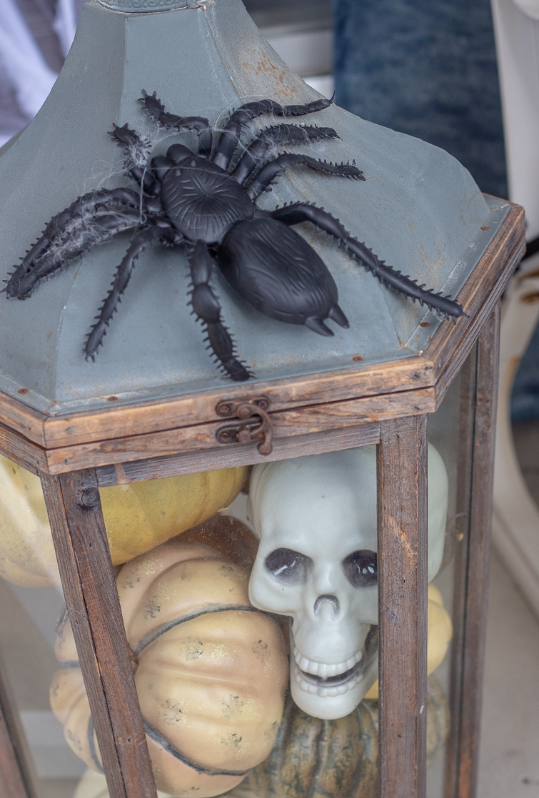 plastic skull and pumpkins in a large wooden glass lantern with an oversized plastic spider on top