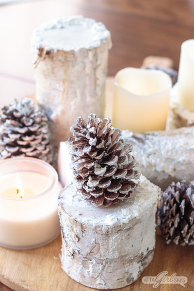 Snowy Birch Logs Winter Centerpiece with a snow-dusted pinecone on a snowy birch log