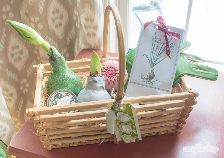 garden-themed hostess gift filled with waxed amaryllis bulbs, homemade lotion bar, gardeners hand salve, paperwhite bulbs and gardening gloves