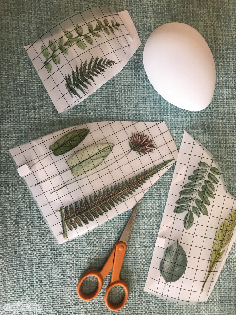vintage botanical decorative transfers and an Easter egg