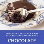 gooey chocolate brownie with homemade chocolate icing