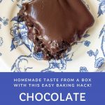 gooey chocolate brownie with homemade chocolate icing