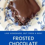 gooey chocolate brownie with homemade chocolate icing