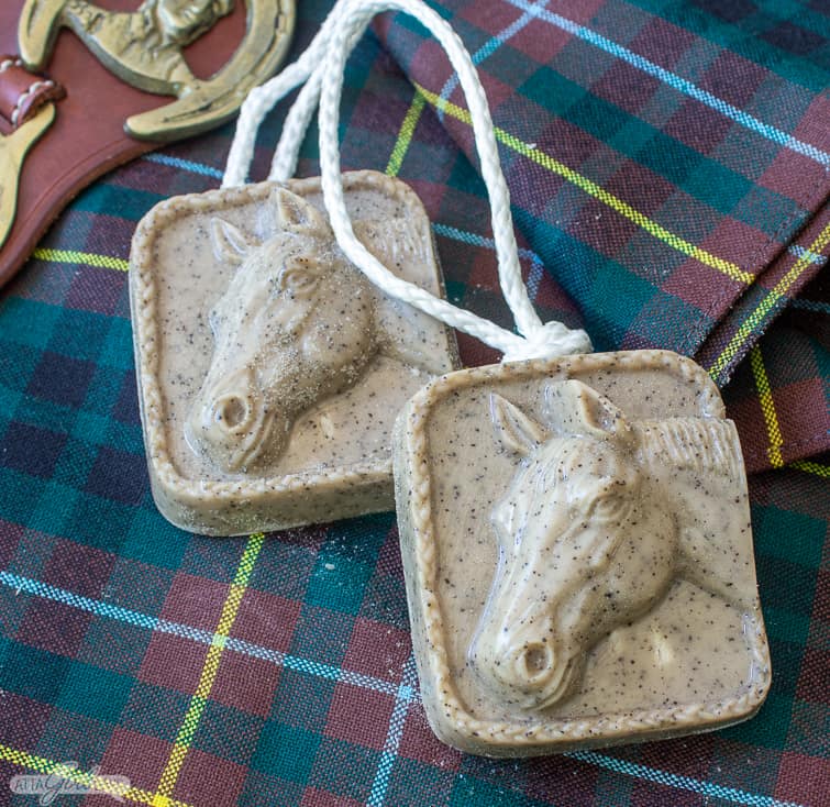 horse soap on a rope on a plaid towel