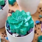 succulent shaped soap in a pot