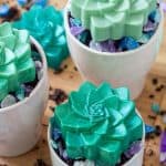 homemade succulent soap bars in planters with small crystal soap