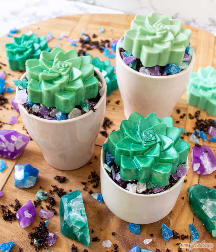 succulent soap bars in ceramic pots with crystal soap rocks surrounding them