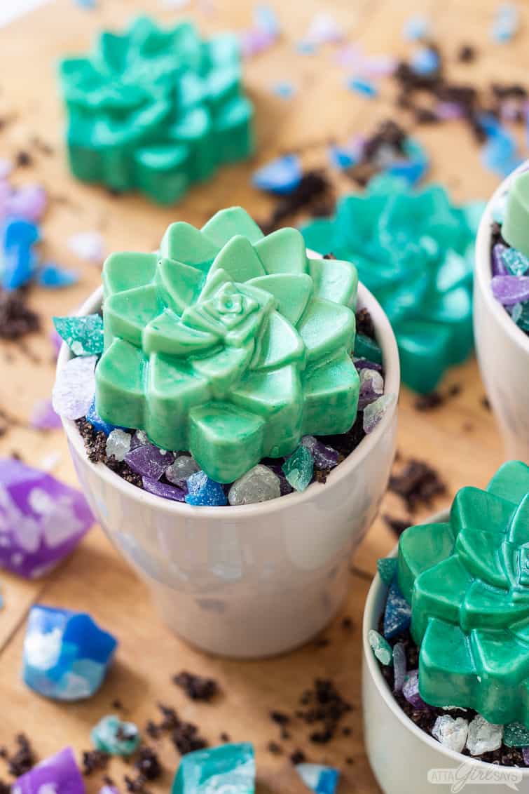 succulent shaped soap in a pot