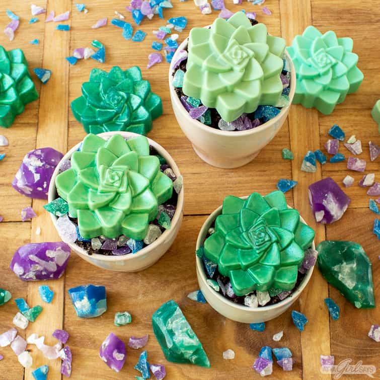 succulent soap bars in ceramic pots with crystal soap rocks surrounding them