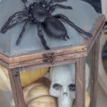 Dollar store Halloween decorations with a plastic skull and pumpkin in a lantern with a plastic spider crawling on it