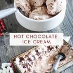 no churn ice cream in a bowl and pan