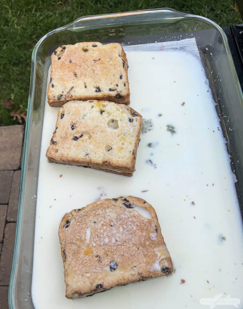 dipping bread in custard to make French toast