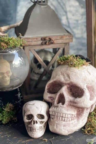 fake skulls with moss on them for Halloween