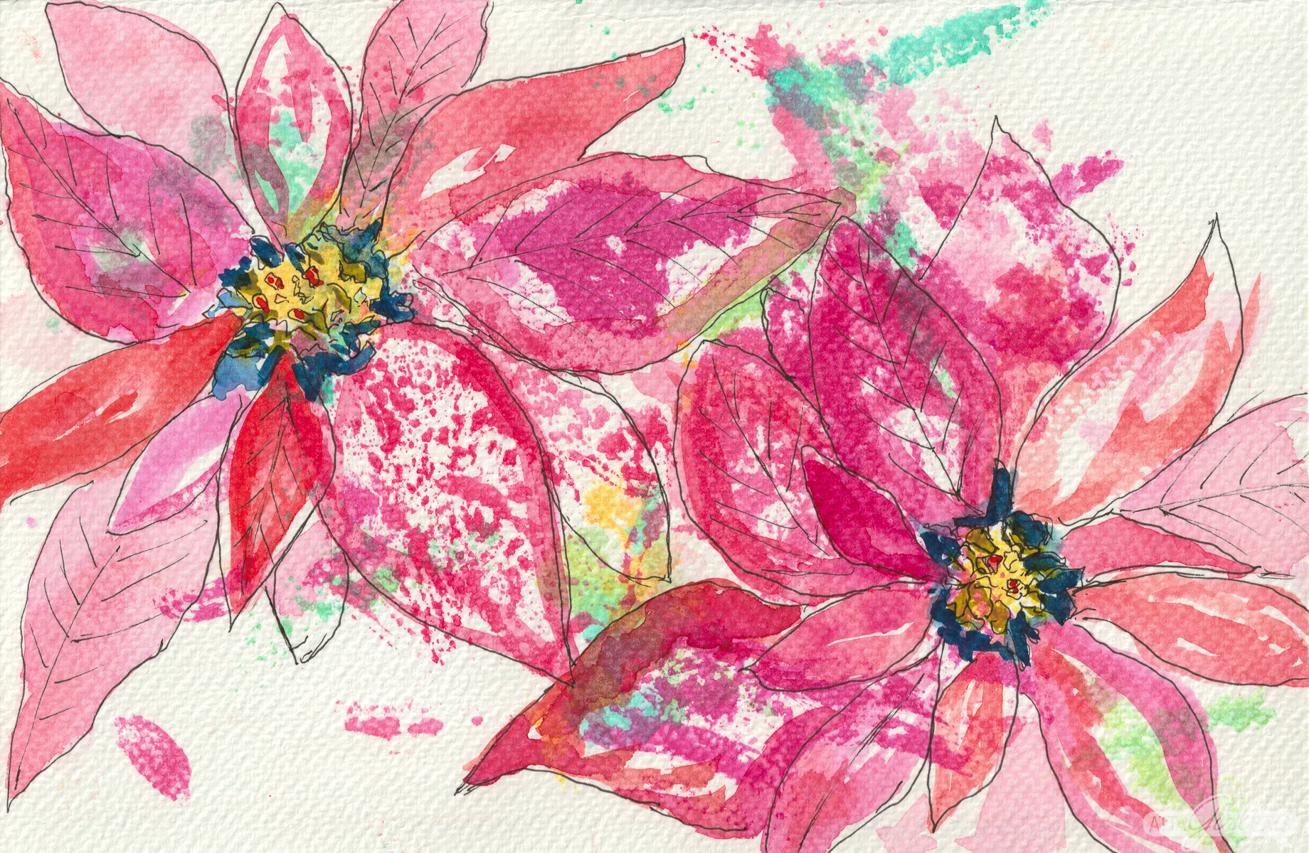 watercolor painting of two speckled poinsettia flowers